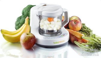 伊能静同款辅食机品牌介绍