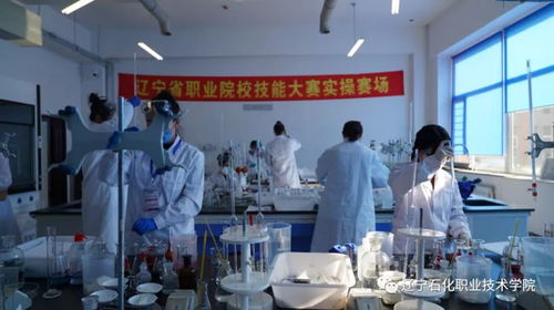 辽宁石化职业技术学院计算机大赛 以赛促学、以赛促教、以赛促改，驱动信息技术人才培养创新